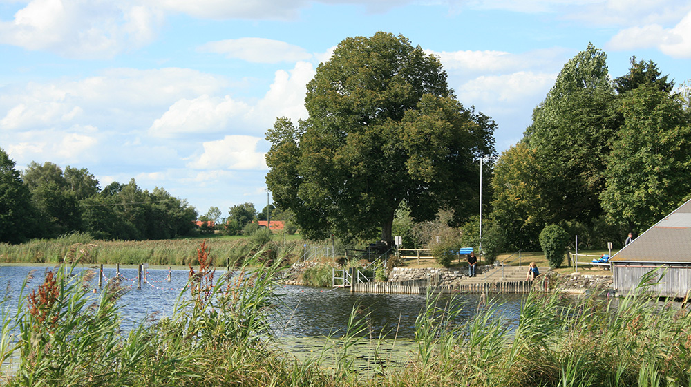 Wassererlebnis Lengenweiler See (2)